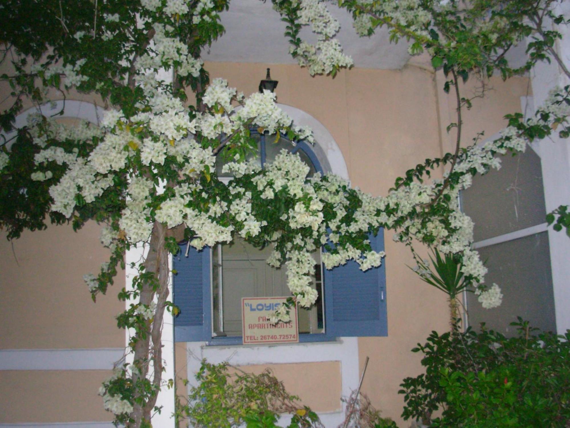 Louisa Studios Poros  Exterior photo